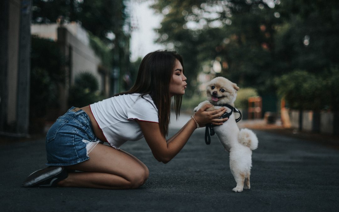 In Order to Live a More Fulfilling Life, Old Dogs Must Learn New Tricks