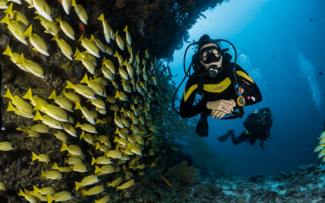 When Was the Last time You Did Something that Scared You?