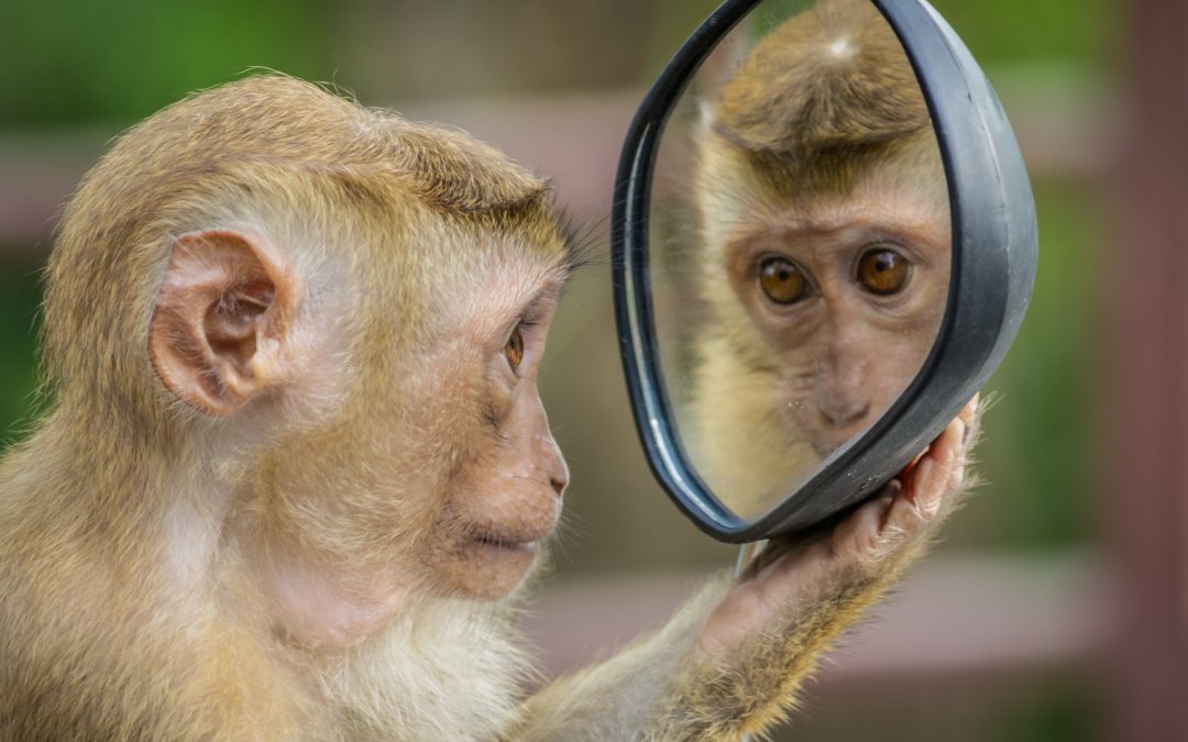 Six Perplexing Things You Must Learn to Understand about life